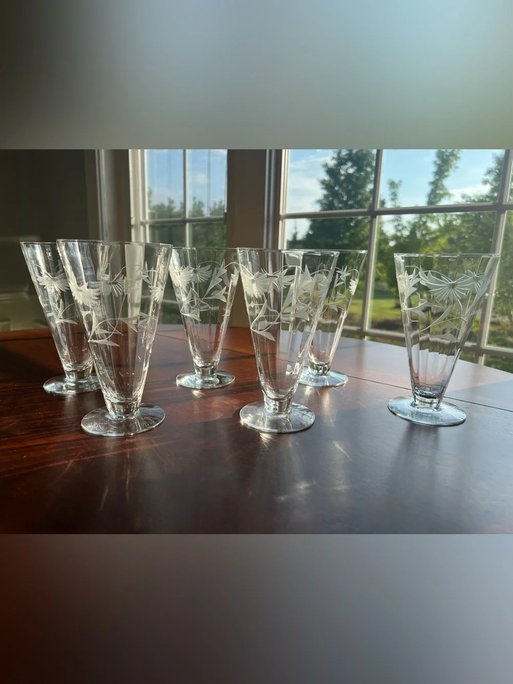 Vintage Atomic MCM Mid Century Modern Etched Glass Floral Pilsner Set of 6